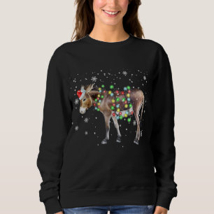 Sweatshirt Couleur des lumières de Noël de l'âne Cadeau Pè