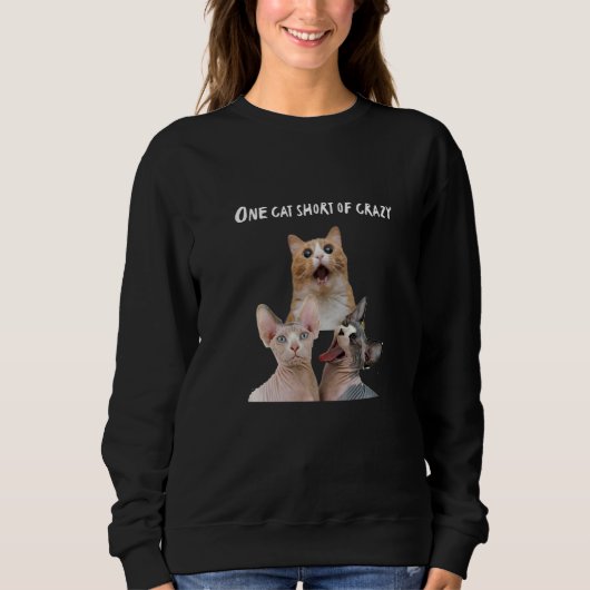 Sweatshirt Crazy Cat Lady Man Tee - shirts Un Chat Court Craz (Devant)
