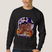 Sweatshirt Cute Chesapeake Bay Retriever Halloween Witch Pump (Devant)