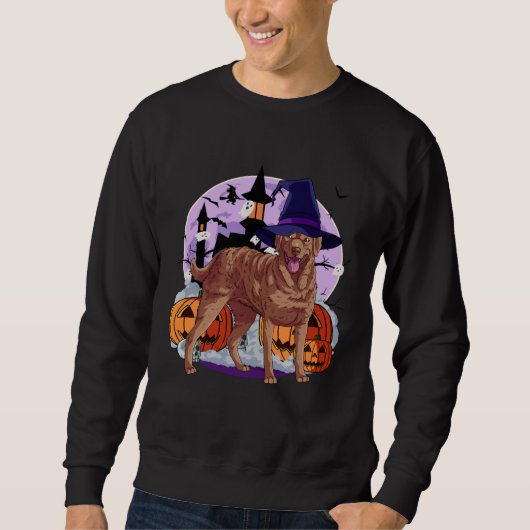 Sweatshirt Cute Chesapeake Bay Retriever Halloween Witch Pump (Devant)