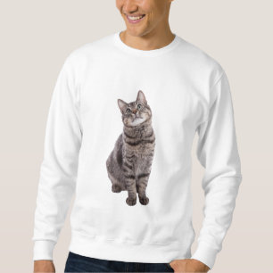 Sweatshirt Cute tabby Cat