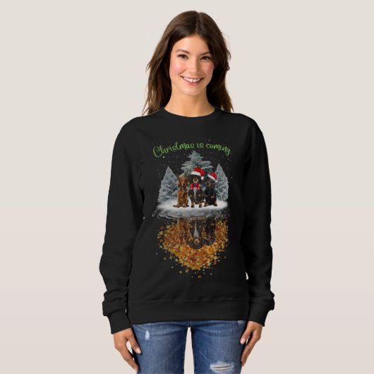 Sweatshirt Dachshund Noël arrive mignon Chien Graphic Tee (Devant entier)