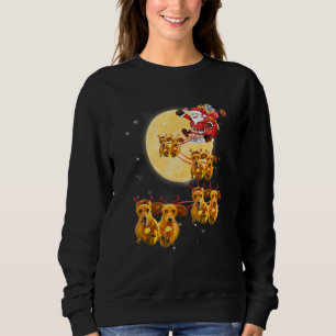 Sweatshirt Dachshund Reindeer Père Noël Sleigh Christmas Chie