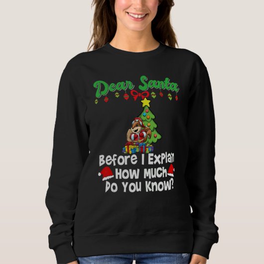 Sweatshirt Dear Santa Before I Explain How Much Do You Know_1 (Devant)