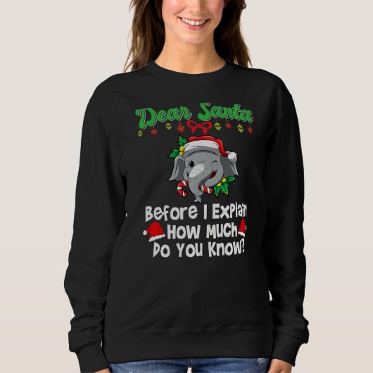 Sweatshirt Dear Santa Before I Explain How Much Do You Know P (Devant)