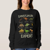 Sweatshirt Dinosaurfor Kids Dinosaur Expert (Devant)
