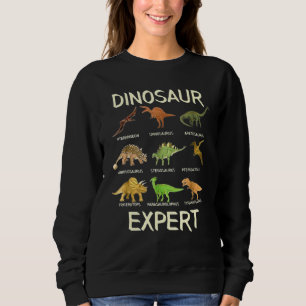 Sweatshirt Dinosaurfor Kids Dinosaur Expert