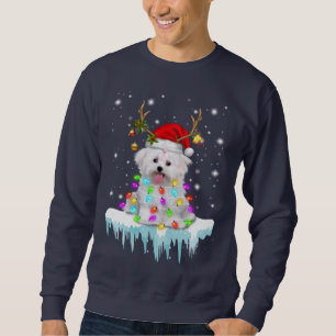 Sweatshirt Dog Lover  Maltese Christmas Fairy Light en hiver