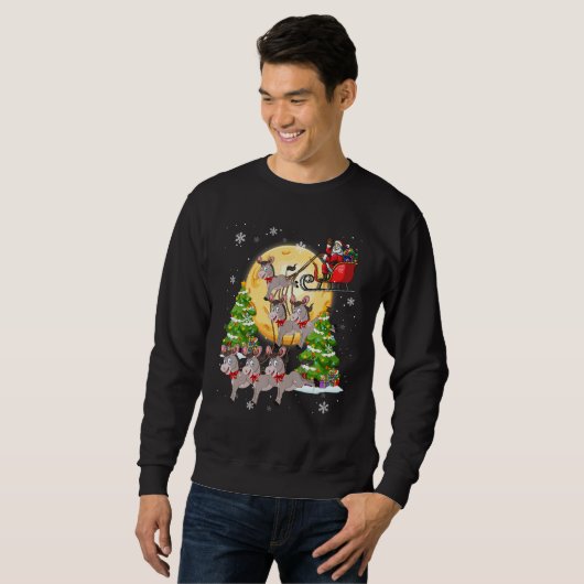 Sweatshirt Donkey Reindeer Noël Chien Chat Noël Présentation (Devant entier)