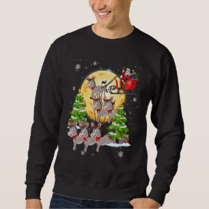 Sweatshirt Donkey Reindeer Noël Chien Chat Noël Présentation