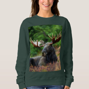 Sweatshirt d'orignal
