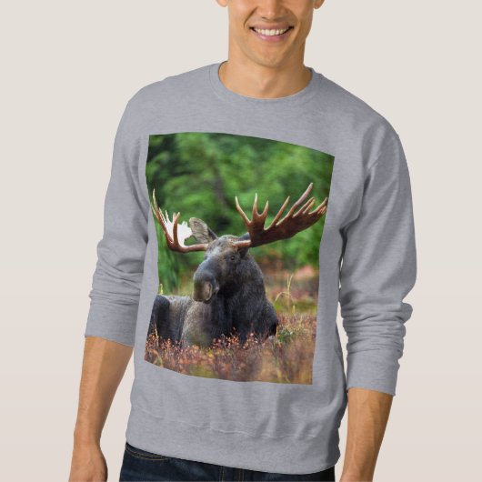 Sweatshirt d'orignal (Devant)