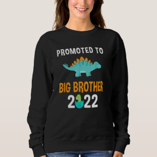Sweatshirt Doted To Big Brother 2022 Boys Stegosaurus Dino