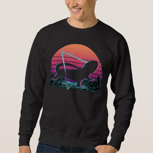 Sweatshirt Dragon Retro (Devant)
