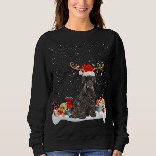 Sweatshirt Drôle Éclairage de Noël renne Santa Hat Schnauzer