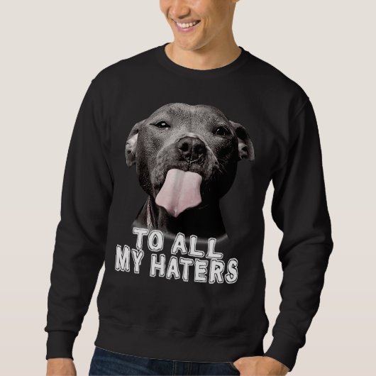 Sweatshirt Drôle Pitbull à tous mes détesteurs Pitbull Amoure (Devant)