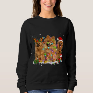 Sweatshirt Drôle renne de Noël Poméranien