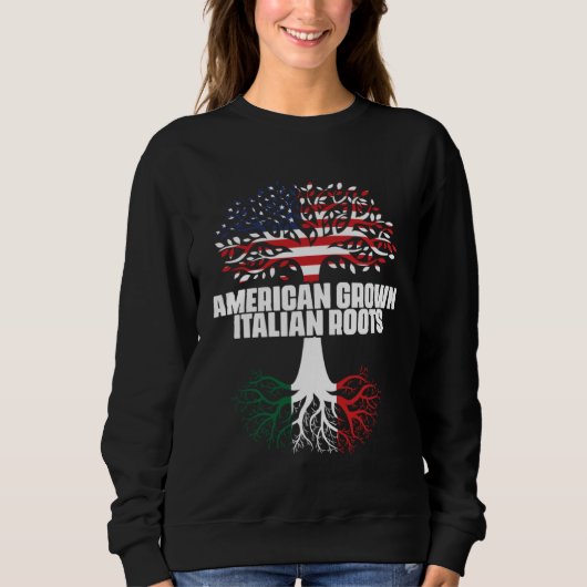 Sweatshirt Dual Citizenship America Italy Flag Roots Italian  (Devant)