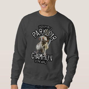 Sweatshirt Écureuil de parkour - freerunning drôle