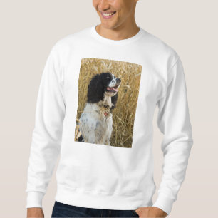 Sweatshirt épagneul de springer anglais dans wheat.png