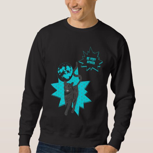 Sweatshirt Faites Très Peur Aux Chats De Nuit (Devant)