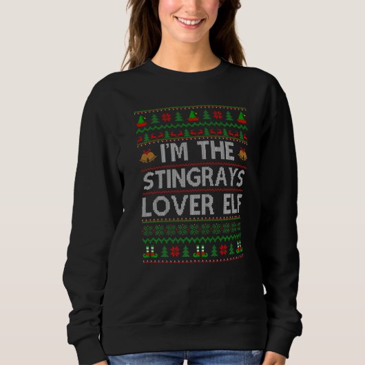 Sweatshirt Famille Correspondant Vilain Je Suis Stingrays Elf (Devant)