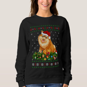 Sweatshirt Famille Matching Xmas Lighting Ugly Chien Pomérani