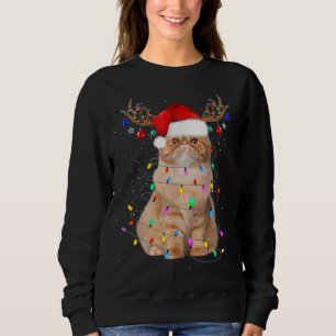 Sweatshirt Fantaisie Chat Lumières Santa Chapeau Sweater Arbr