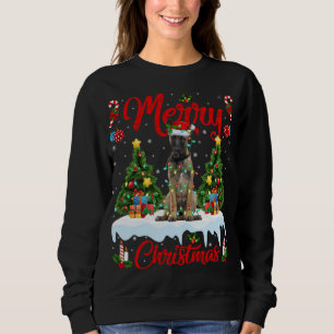 Sweatshirt Fantastique lumière Noël Chapeau Chien belge Malin