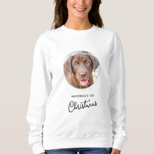 Sweatshirt Fête de Noël de chien d'animal de compagnie Photo
