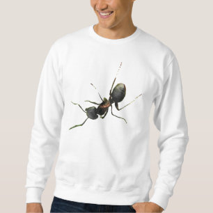 Sweatshirt Fourmi