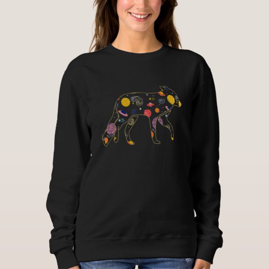 Sweatshirt Fox Celestial Animals Space Aesthetic Solar Plane (Devant)