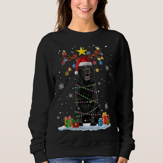 Sweatshirt Funky Black Lab Chien Reindeer Noël L (Devant)