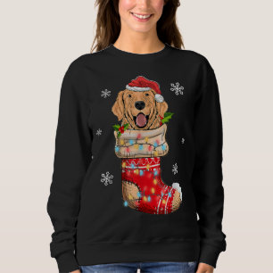 Sweatshirt Funny Golden Retriever Dans Chaussettes Noël Chien