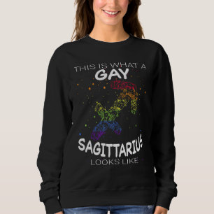 Sweatshirt Gay Sagittarius Zodiac Lgbtq Gay pride Lgbt Pride