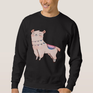 Sweatshirt Genderfluide Llama Cute Animal Alpaca LGBTQIA Enby