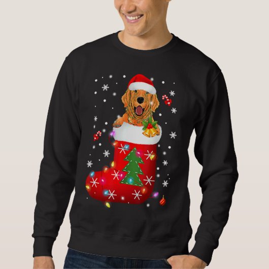 Sweatshirt Golden Retriever dans Sock Noël (Devant)
