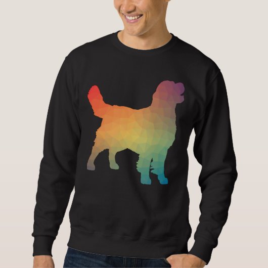 Sweatshirt Golden Retriever Rainbow Geometry (Devant)