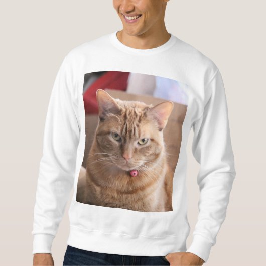 Sweatshirt Grave (Devant)