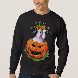 Sweatshirt Halloween Poodle Chien Citrouille Jack-o'-lantern