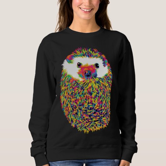 Sweatshirt Hérisson Arc-en-ciel Mignon (Devant)