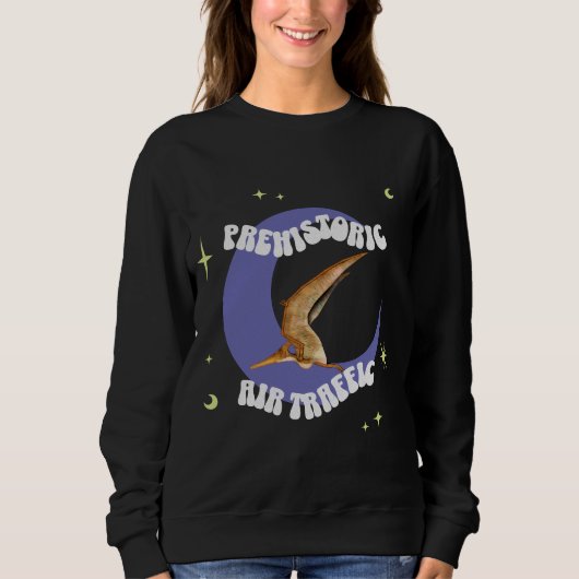 Sweatshirt Humour d'aviation Lune Ptérodactyle Drôle (Devant)