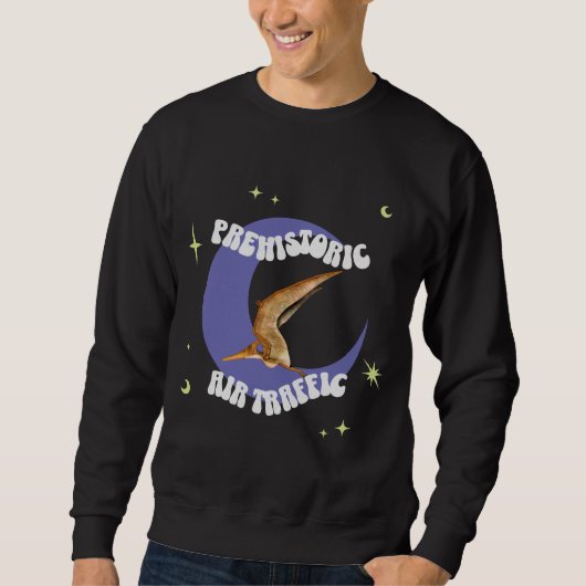 Sweatshirt Humour d'aviation Lune Ptérodactyle Drôle (Devant)