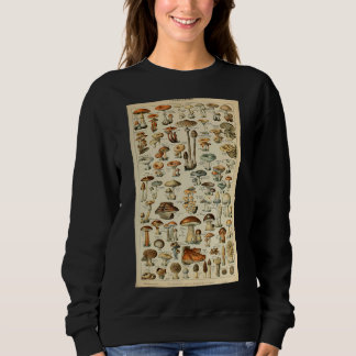 Sweatshirt Illustration scientifique botanique des champignon