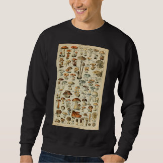 Sweatshirt Illustration scientifique botanique des champignon