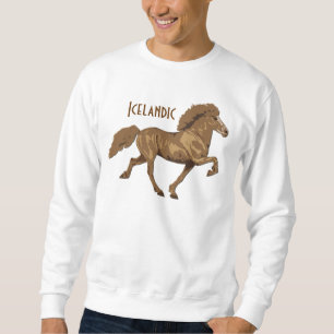 Sweatshirt islandais vintage des années 1930
