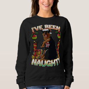 Sweatshirt J'Ai Été Naughty Rottweiler Dog Avec Le Père Noël