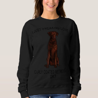 Sweatshirt J'Ai Juste Frappé Aimer Retrivers Craqués Craqué O