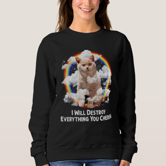 Sweatshirt Je Détruirai Tout Ce Que Vous Cherchez Chat Arc-En (Devant)