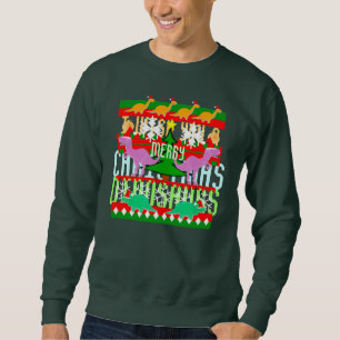 Sweatshirt Je vous souhaite d'un Joyeux des dinosaures Noël